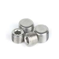 Stainless Steel DIN906 Socket Head Pipe Plug