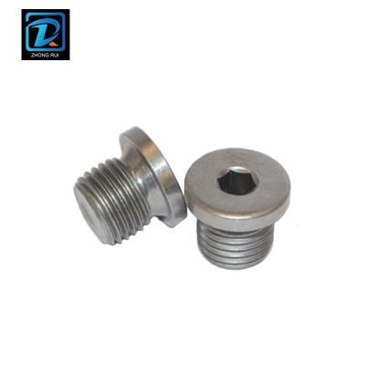 316 Stainless Steel DIN908 Hexagon Socket Oil Pipe Plug