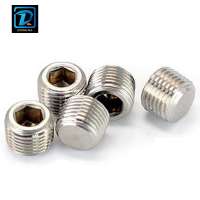 Stainless Steel DIN906 Plug Screw