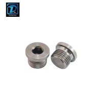 316 Stainless Steel M12 Hexagon Socket Screw Plug